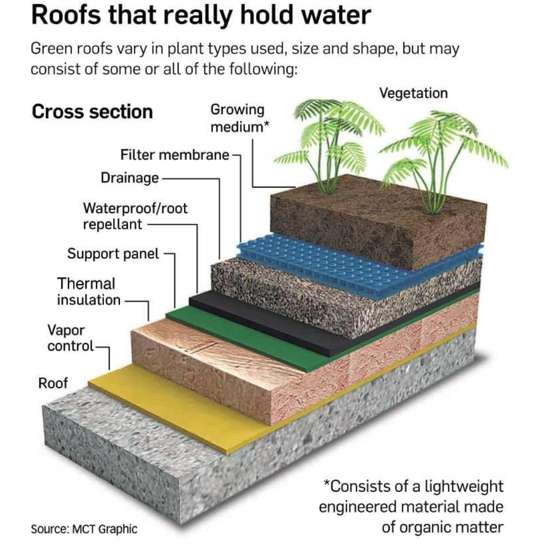 Green Roof Waterproofing